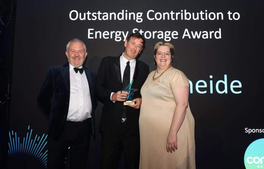 Outstanding Contribution to Energy Storage