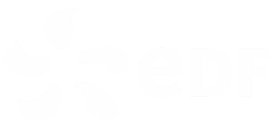 EDF Logo