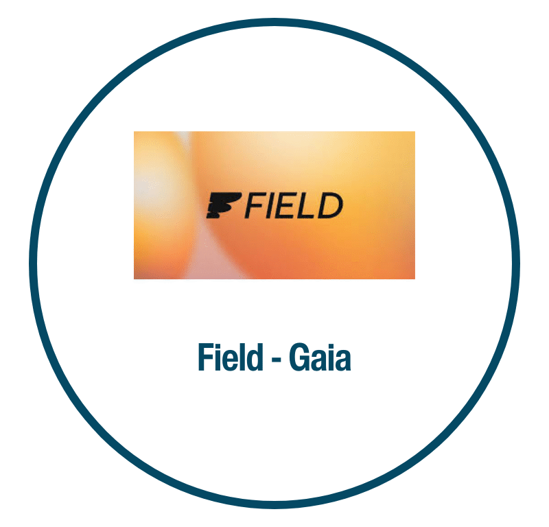 Field Energy
