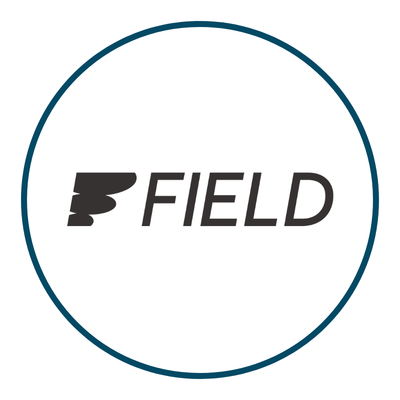 Field Energy